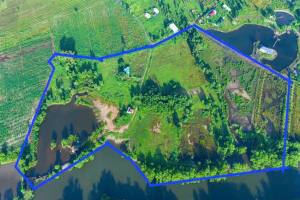 Bán đất vườn Nhơn Trạch ôm sông Đồng Nai diện tích lớn hơn 7ha có thổ cư 