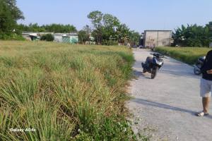 Bán đất vườn Nhơn Trạch tại xã Vĩnh Thanh ngay khu dân cư nhiều tiện ích xung 